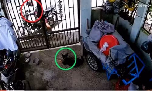 Cau tac trom cho sieu tao ton o Cu Chi