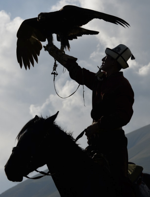 Ngày nay, nghệ thuật đi săn cùng đại bàng đang dần mai một. Do vậy, môn thể thao này góp phần gìn giữ đặc trưng văn hoá khu vực thảo nguyên. Với những người dân du mục, đây không chỉ là một truyền thống quan trọng hay một môn thể thao lạ thường mà là cách mưu sinh. Ảnh: Washington Post