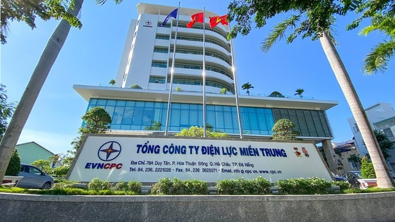 Cong ty Vietstar Meiden trung goi thau mua sam tai Dien luc mien Trung-Hinh-2