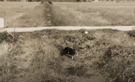 Tại đây, hai người mâu thuẫn, cự cãi và Giang dùng tay kẹp cổ khiến chị H. bất tỉnh. Sợ hãi nghĩ chị H. đã chết, Giang nhét thi thể chị H. vào cống nước phi tang rồi về nhà, mang theo túi xách của chị H.