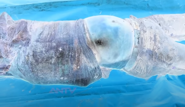 Ngay sau đó, nạn nhân được xác định chính là ông Nguyễn Văn Chất, hành nghề xe ôm tại thị trấn Gia Bình; tử vong do bị đâm 8 nhát dao trong đó có 2 nhát thấu phổi và bụng.