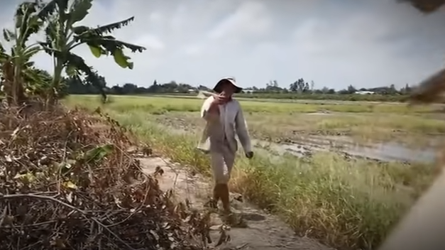 Theo lời khai của Trịnh Văn Linh, khoảng 8h ngày 10/4/2019, ông này cầm xẻng đi làm ruộng. Trên đường đi, Linh đi qua ruộng nhà ông Trí nhìn thấy ông này và nhớ đến lời đe doạ của nạn nhân. Linh liền nảy sinh ý định giết Trí để ông này không còn cơ hội thực hiện ý đồ hại mình.