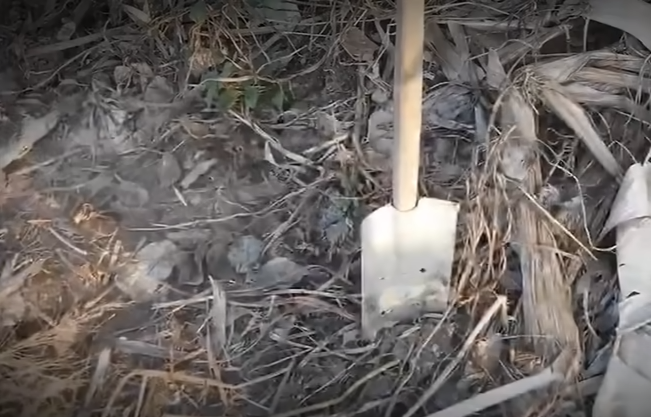 Phân tích các vết thương để lại trên đầu, các điều tra viên nhận định đó là dấu vết để lại từ 2 cú đánh rất mạnh từ hung khí có cạnh mỏng, nhưng không sắc, 2 cú đánh có thể khiến nạn nhân gục ngã. Các vết thương đều có hình vòng cung, tương đồng với dấu vết của chiếc xẻng, giống chiếc xẻng của nạn nhân đang để lại hiện trường.