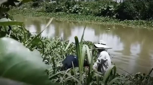 Linh dùng xẻng đập nhiều nhát vào đầu ông Trí. Thấy nạn nhân bất tỉnh, Linh tưởng ông này đã chết nên kéo ông Trí xuống kênh hòng phi tang. Sau khi gây án, Linh đi làm việc rồi về nhà sinh hoạt bình thường.