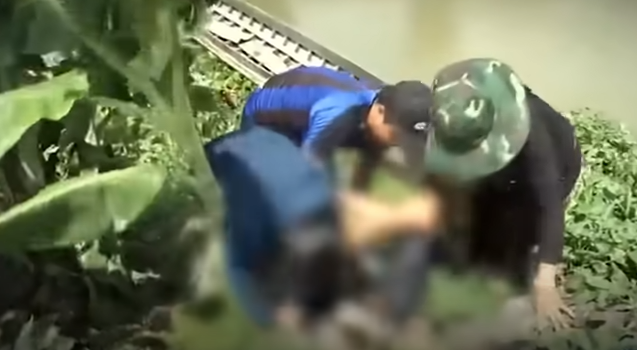 Khi đến bên bờ, người nhà nhìn thấy đôi dép của nạn nhân để ven bờ kênh. Mọi người vội vàng đi tìm xung quanh thì phát hiện một số vết máu. Tuy nhiên, khi người thân lần theo những vết máu từ bờ kênh đến bụi chuối thì không thấy ông Trí đâu. Sau khi báo lên cơ quan chức năng cùng người dân tìm dưới kênh thì mọi người phát hiện thi thể ông Trí nổi lập lờ dưới kênh.