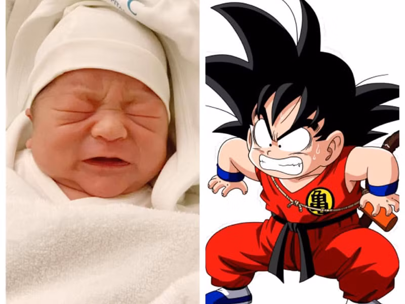 Bé Goku và bé Daino được nhiều người nhận xét là rất giống bố.