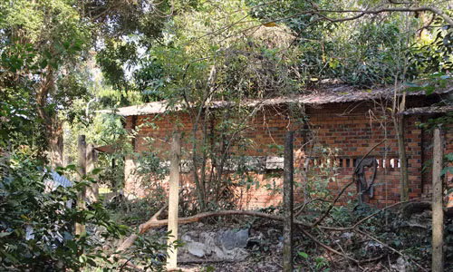 Ly do khong khoi to vu 9 bo xuong nguoi o Tay Ninh-Hinh-2