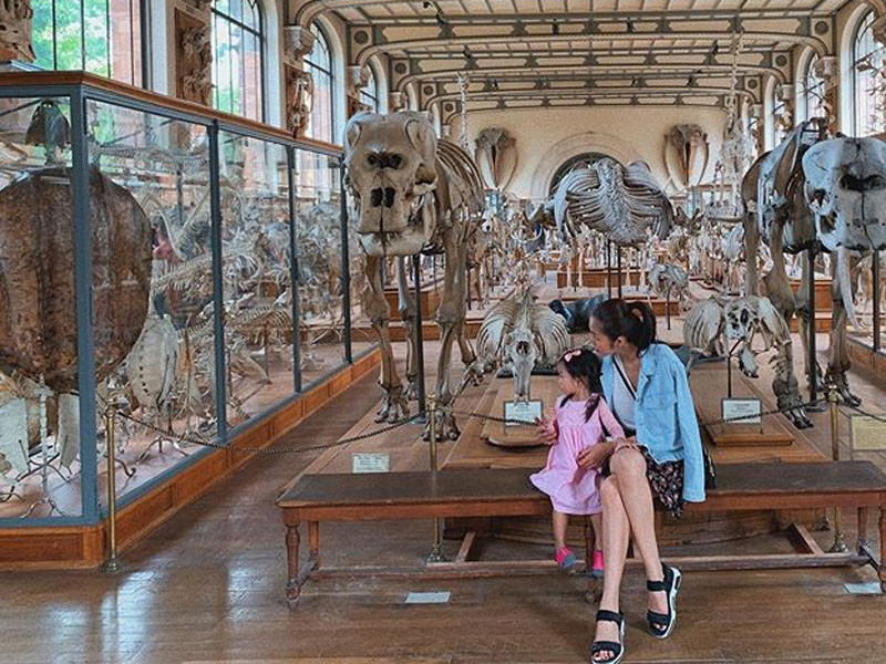 "Ngọc nữ" điện ảnh một thời không muốn bỏ lỡ những khoảnh khắc đầu đời của các con nên tự tay chăm sóc con.