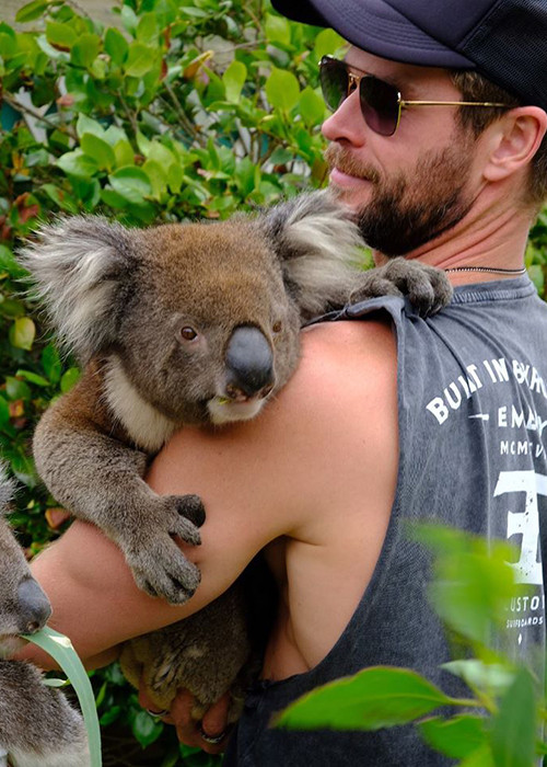 Sau những năm sống ở Mỹ để theo đuổi giấc mơ diễn xuất, Chris Hemsworth quyết định đưa vợ con về quê nhà.