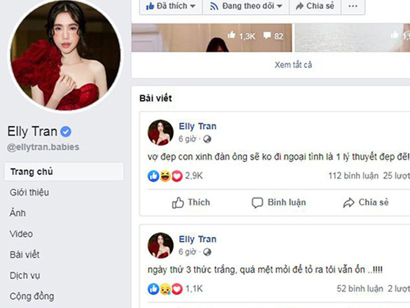 Cách đây ít ngày, Elly Trần bất ngờ bày tỏ đã thức trắng 3 đêm. Ngoài ra, cô còn viết: "Vợ đẹp con xinh đàn ông sẽ không đi ngoại tình là một lý thuyết đẹp đẽ".