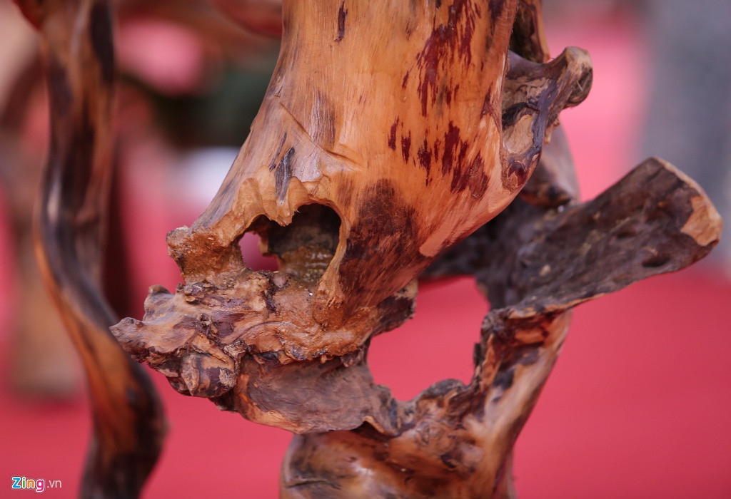 Gỗ lũa là phần lõi ở gốc của các cây cổ thụ khô sau khi bị chết. Đặc trưng của gỗ lũa là rất cứng và không bao giờ bị mối mọt xâm hại, có giá trị cao.