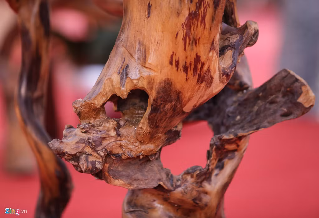 Gỗ lũa là phần lõi ở gốc của các cây cổ thụ khô sau khi bị chết. Đặc trưng của gỗ lũa là rất cứng và không bao giờ bị mối mọt xâm hại, có giá trị cao.