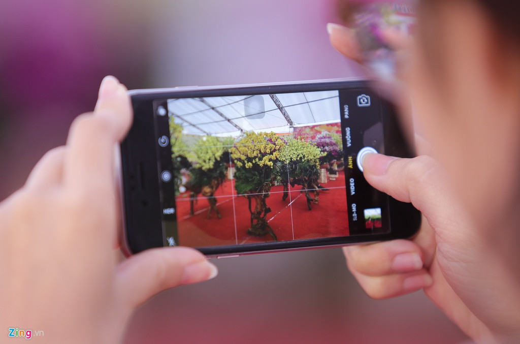 Lan hồ điệp trồng trên gỗ lụa được nhận định có tính thẩm mỹ cao, tuy nhiên, lại kén khách vì không phải ai cũng sẵn sàng bỏ ra số tiền lớn như vậy. Tại hội chợ còn có chậu lan hình thuyền với ý nghĩa mong một năm mới thuận buồm xuôi gió, chậu tròn, chậu vuông, dáng huyền... Sự đa dạng trong tạo hình đem lại cho người dân nhiều sự lựa chọn.