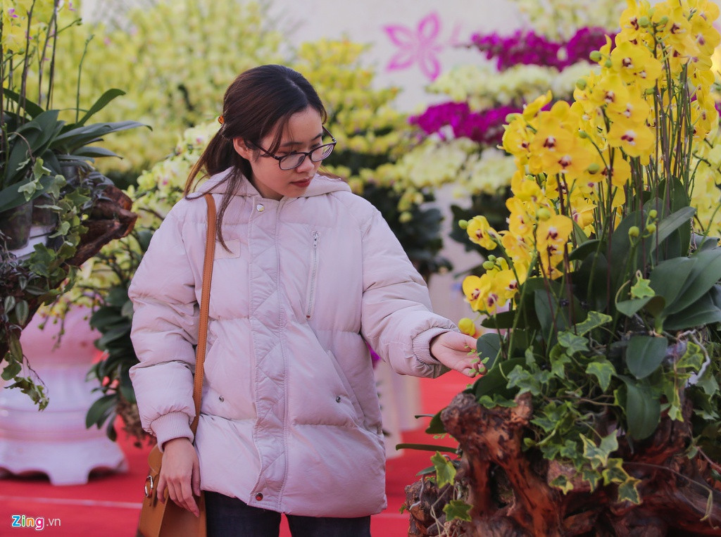 Gia đình Hồng Sâm bắt đầu chơi lan vài năm gần đây. Cô bạn lựa chọn chơi lan thay cho đào quất dịp Tết bởi sự sang trọng mà cây hoa này mang lại.