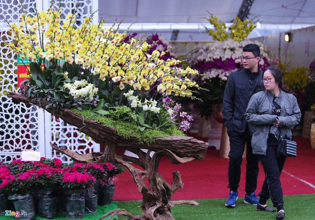 Từ đầu tháng 12 đến nay, chủ cơ sở hoa này đã bán khoảng 40 sản phẩm lan trồng trên gỗ lũa. Dự kiến số sản phẩm còn lại sẽ được bán đến hết ngày 28 tháng Chạp.