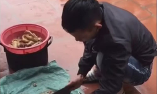 Ra mat gia dinh nguoi yeu, chang trai ap luc vi bi nha gai “giam sat”