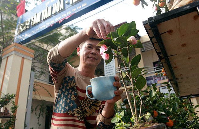 Đây là những cây hồng trà nhỏ nhất, không thể bé hơn được nữa bởi từ trước đến nay các nhà vườn trồng hồng trà không có loại nào nhỏ hơn loại này, anh Huy cho hay.