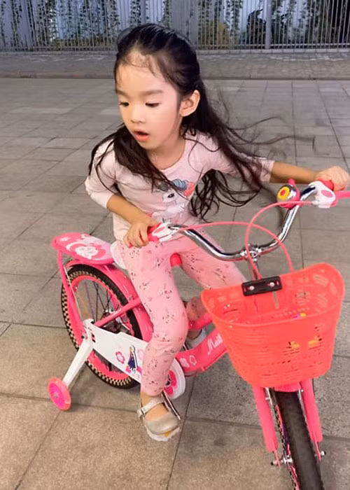 Cuộc sống của Xuân Lan và con gái nay ổn định hơn khi nữ siêu mẫu kết hôn cùng nhà quay phim Việt kiều Nguyễn Ngọc Lâm.