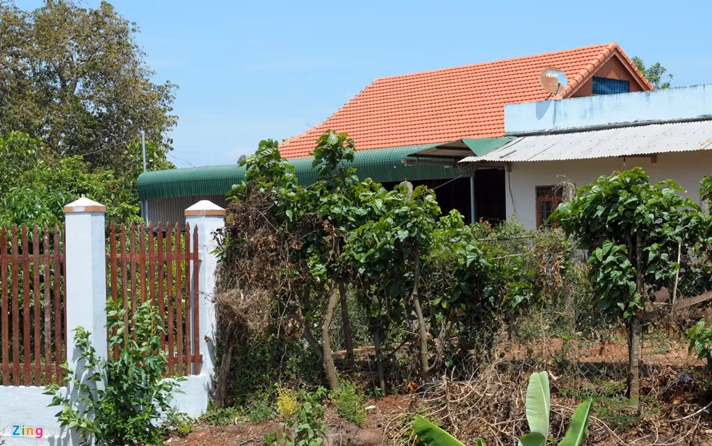 Căn nhà gỗ của vị sĩ quan biên phòng với mái ngói còn mới được xây trên đất nông nghiệp ở tổ dân phố 11, phường Ea Tam.