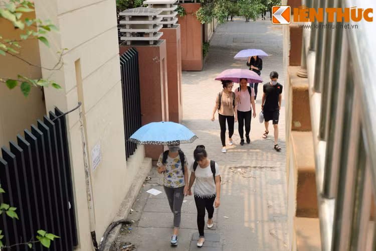 Các ngõ nhỏ có bóng cây xanh trở thành điểm đi lại lý tưởng trong ngày hè.