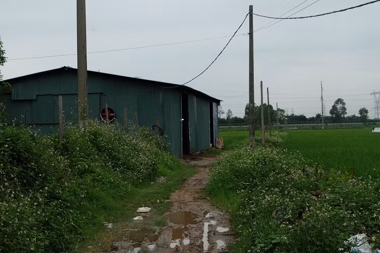 O at xay nha xuong trai phep tren dat nong nghiep o Dong Anh