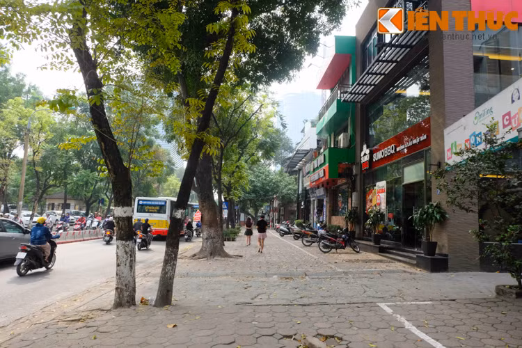 Người đi bộ thảnh thơi dạo bước dưới hàng cây trên đường Thái Hà.