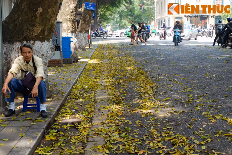 Ai đó cũng sẽ nhớ về một Hà Nội rất riêng và quyến rũ.