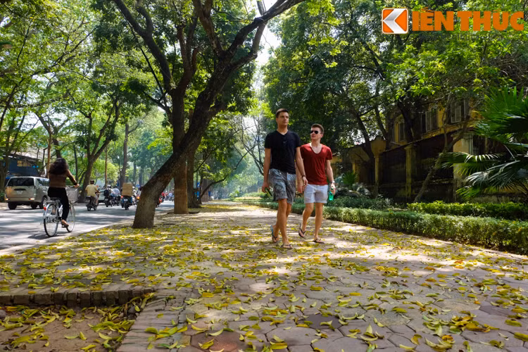 Du khách thảnh thơi dạo bước trên vỉa hè ngập lá vàng rơi.
