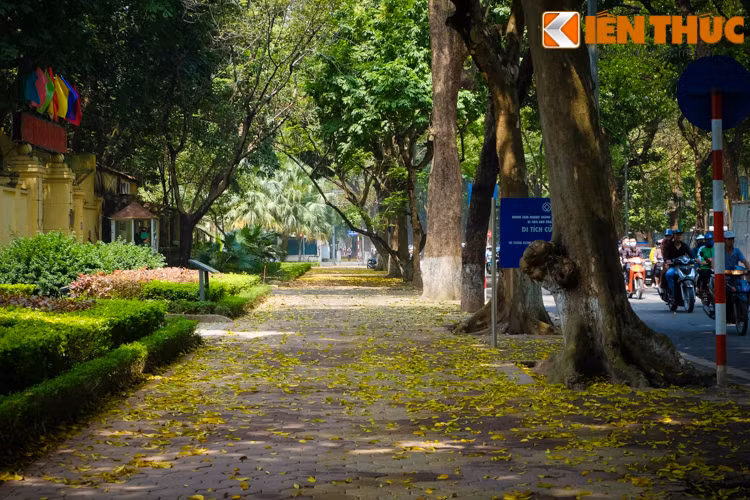 Và Hà Nội như bước vào mùa thu thứ 2 trong năm.