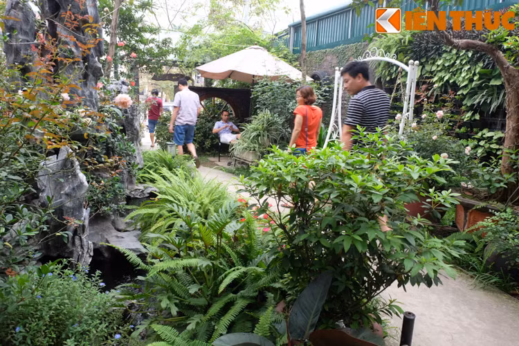 Nhiều khách hàng thích thú ngắm vườn cảnh trong biệt thự bỏ hoang. Anh Lê Anh Tuấn (nhà ở khu An Khánh, Hoài Đức, Hà Nội) cho biết: "Tôi là khách quen ở đây, trước đây cả dãy nhà bỏ hoang nhìn tiêu điều lắm, vài năm gần đây khi có cư dân về sống ở vài chung cư mới thì các biệt thự được thuê hoặc cải tạo lại thành quán cà phê. Không gian rộng rãi lại đẹp nên tôi thường đến đây".