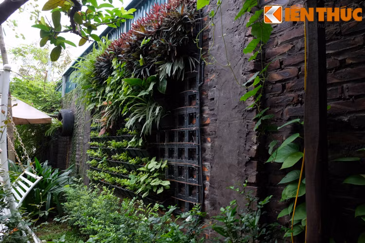 Khó có thể ngờ nơi đây từng bị bỏ hoang.