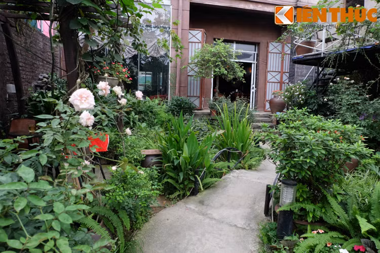 Đủ các loại hoa, cây cảnh tươi tốt tại đây đã cho thấy sự cầu kỳ, chăm chút của chủ quán.