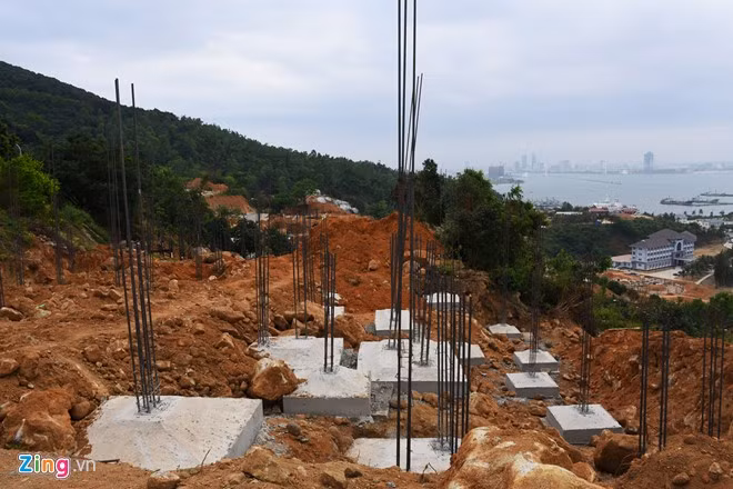 Dao xoi nui Son Tra: Thu tuong yeu cau Da Nang bao cao