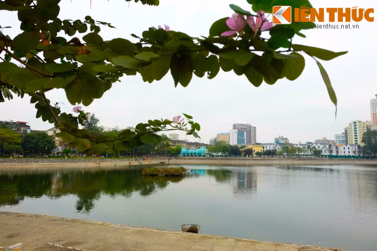 Hồ điều hòa nước và không khí của cả một khu dân cư rộng lớn.