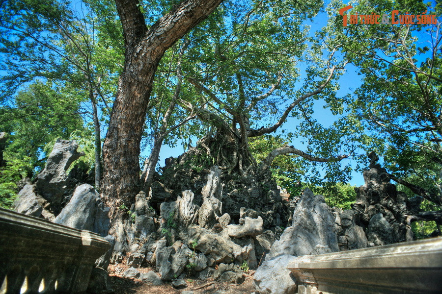 Hòn non bộ đã bị một số cây lớn mọc lâu năm làm phá vỡ khá nhiều chi tiết nguyên bản.