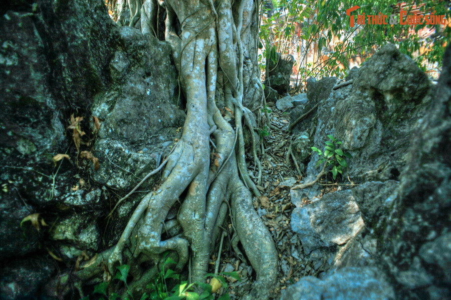 Có nhiều điều thú vị để khám phá trên những quả núi thu nhỏ này, như những lối mòn chỉ đủ cho một người đi.
