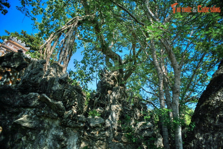 Dù vậy, chính thảm thực vật tự nhiên này đã phá bỏ khuôn mẫu thường gặp trong bài trí hòn non bộ, đem lại sự độc đáo, cuốn hút riêng cho hòn non bộ ở cung Trường Sanh.