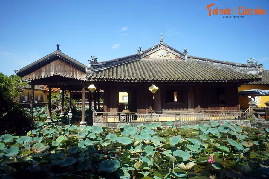 Ngoài ra còn rất nhiều ao hồ nhỏ được đào trong khuôn viên các cung điện. Các hồ này kết hợp với cây cảnh và hòn non bộ hoặc nhà thủy tạ để tạo nên các cảnh quan hấp dẫn. Ảnh: Sen nở trong hồ nước bao quanh Tạ Trường Du, Hoàng thành Huế.