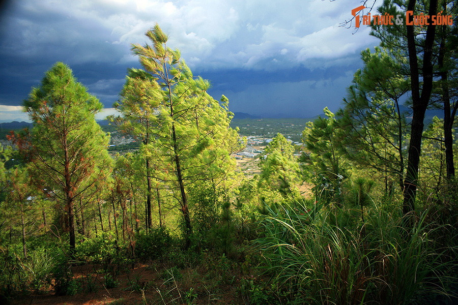 TS Hán - Nôm Đoàn Trung Hữu cho rằng, theo lời chỉ dẫn của Trạng Trình Nguyễn Bỉnh Khiêm, chúa Nguyễn Hoàng đã vào Thuận Quảng để khởi nghiệp. Nhưng từ đèo Ngang vào tới Hải Vân, không có ngọn núi nào đặc biệt hội đủ các yếu tố phong thủy để làm tiền án cho cuộc đất đế vương như núi Ngự Bình.