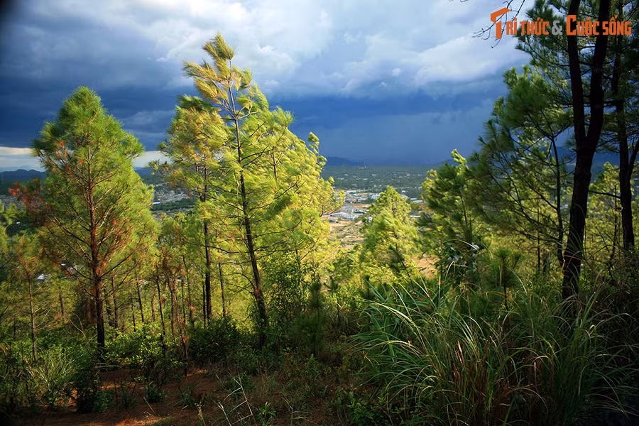 TS Hán - Nôm Đoàn Trung Hữu cho rằng, theo lời chỉ dẫn của Trạng Trình Nguyễn Bỉnh Khiêm, chúa Nguyễn Hoàng đã vào Thuận Quảng để khởi nghiệp. Nhưng từ đèo Ngang vào tới Hải Vân, không có ngọn núi nào đặc biệt hội đủ các yếu tố phong thủy để làm tiền án cho cuộc đất đế vương như núi Ngự Bình.