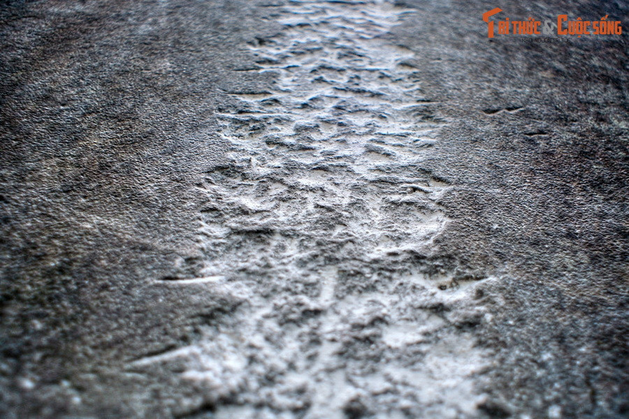 Bia đá trước mộ bị chặt gãy và vứt chỏng chơ dưới đất, những năm gần đây mới được dựng lại một cách tạm bợ. Các dòng chữ trên bia đã bị đục phá một cách tàn bạo và không thể đọc được.