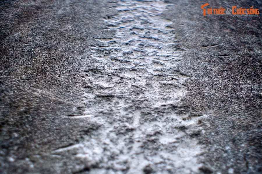 Bia đá trước mộ bị chặt gãy và vứt chỏng chơ dưới đất, những năm gần đây mới được dựng lại một cách tạm bợ. Các dòng chữ trên bia đã bị đục phá một cách tàn bạo và không thể đọc được.