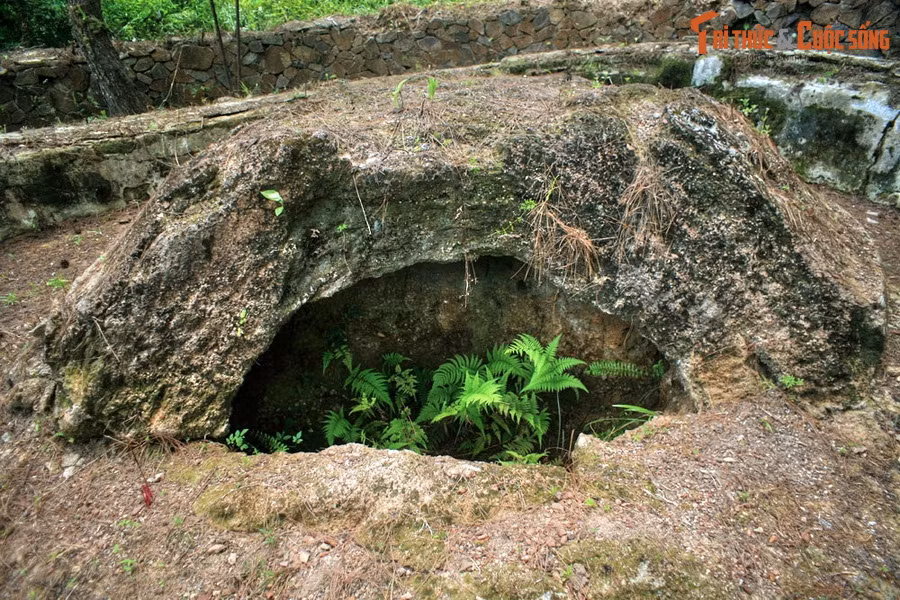 Theo “Đại Nam thực lục chính biên” của Quốc sử quán triều Nguyễn, vào tháng 11 năm Tân Dậu (1801), sau khi thu phục được Phú Xuân, Nguyễn Ánh đã trả thù nhà Tây Sơn một cách tàn nhẫn bằng việc phá hủy mộ Quang Trung, bổ hòm, phơi thây, bêu đầu ở chợ.