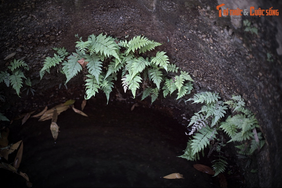 Do tiếng lành đồn xa, người dân đến gánh nước từ giếng về dùng rất nhiều. Đến thời vua Gia Long, nước giếng Hàm Long được dùng để tiến vua pha trà hoặc nấu chè sen nên dân thường không còn được tiếp cận nguồn nước nữa.