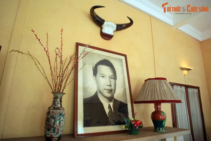 Trên tấm ảnh chân dung vua Bảo Đại thời trẻ được đặt ở phòng tiếp khách có cặp sừng bò tót, là chiến lợi phẩm của vua trong những chuyến đi săn mùa hè ở cao nguyên Lâm Viên.
