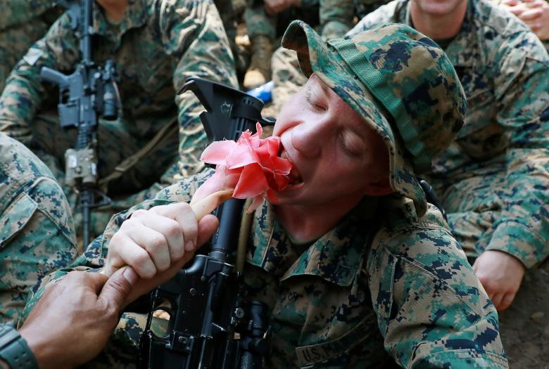 Trong thời gian tham chiến ở Việt Nam, quân đội Mỹ cũng từng được huấn luyện rất kỹ về việc loại hoa quả nào ăn được, loại nào không. Nguồn ảnh: Reuters.