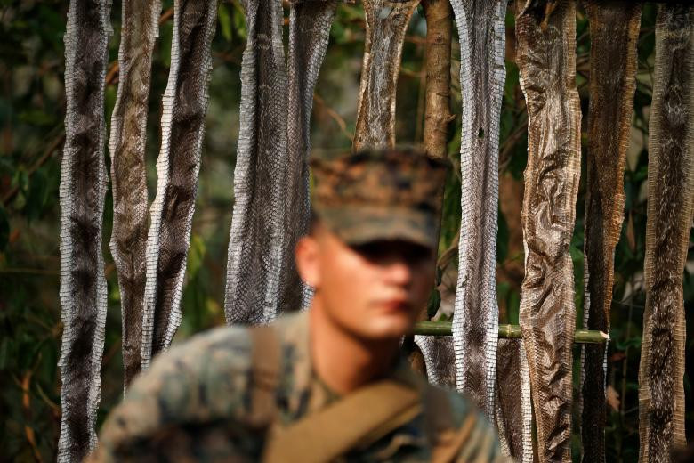 Da rắn được phơi khô ngay trong trại huấn luyện Akatotsarot nơi cuộc tập trận Hổ mang Vàng được khai mạc. Nguồn ảnh: Reuters.