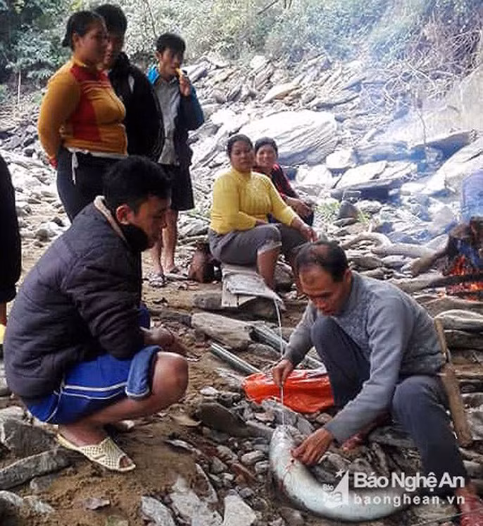 Gần đây, nhiều con cá lệnh khủng đã sa lưới ngư dân Nghệ An. Mới đây nhất, vào chiều 13/12, trong lúc đang cùng nhiều người dân khác trong xã đi bắt cá do thủy điện Xoóng Con ngăn dòng tích nước, anh Vi Văn Thìn và một nhóm bạn ở cùng bản đã bắt được con cá lệch nặng hơn 12 kg, dài hơn 1,8 m. Sau khi nghe tin anh Thìn và nhóm bạn bắt được cá lệch khủng, nhiều người dân tò mò kéo đến xem. Được biết, có người hỏi mua với giá 8,4 triệu đồng, anh Thìn và nhóm bạn đã đồng ý bán.