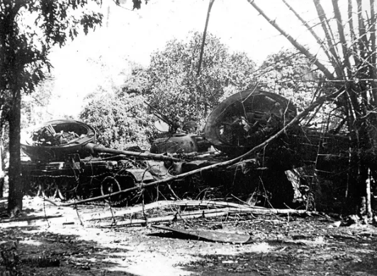 Trái lại, Quân đội Nhân dân Việt Nam lại có thể coi là "bậc thầy" của lối đánh du kích này sau mấy chục năm Kháng chiến chống Pháp và chống Mỹ. Sử liệu Trung Quốc đã ghi lại nhiều trường hợp, chỉ một toán nhỏ hay thậm chí là một bộ đội Việt Nam thực hiện kiểu đánh du kích đã tấn công, tiêu diệt sau đó rút lui an toàn khi cả đoàn xe tăng Trung Quốc còn đang ngơ ngác. Nguồn ảnh: Tiexue.