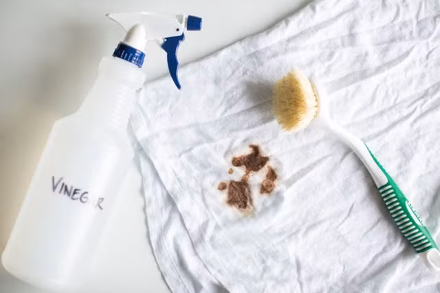 Tẩy vết bẩn cà phê dính vào áo: Dùng một chai dạng xịt có chứa giấm trắng pha loãng xịt trực tiếp lên vết bẩn cà phê. Hãy để cho vải thấm giấm trong 10 phút, sau đó nhẹ nhàng cọ bằng bàn chải mềm để đánh sạch vết bẩn.